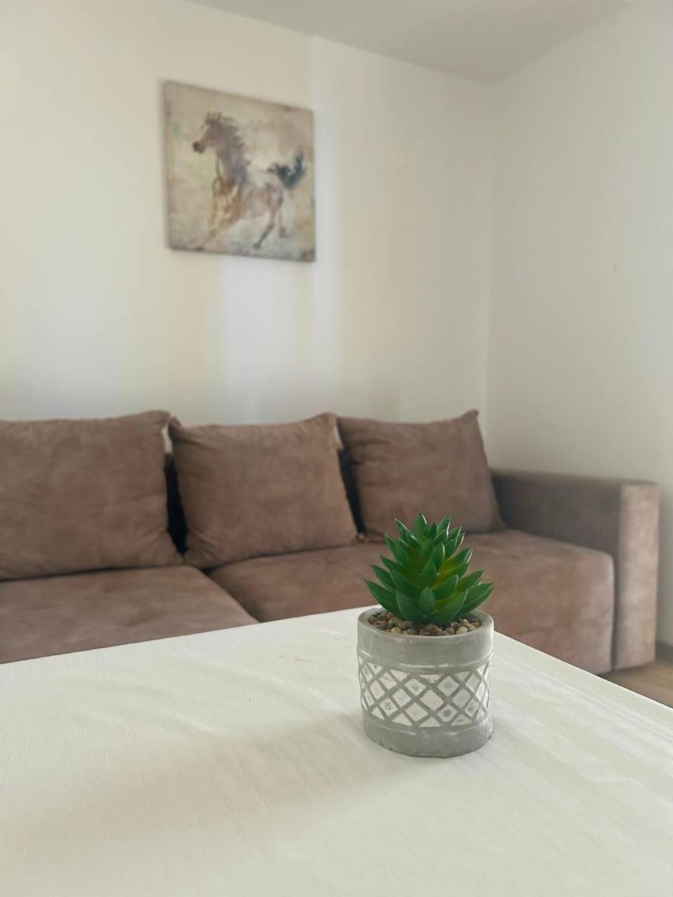 Apartmani Stari Grad Sutomore Zewnętrze zdjęcie